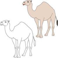 chameau clipart ensemble. dessin animé sauvage animaux clipart ensemble pour les amoureux de faune vecteur