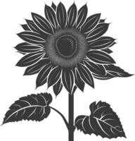 silhouette tournesol fleur noir Couleur seulement vecteur