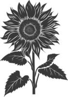 silhouette tournesol fleur noir Couleur seulement vecteur