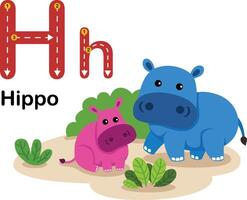 alphabet lettre h-hippopotame avec dessin animé vocabulaire illustration, vecteur