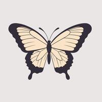 papillon illustration plat dessin vecteur