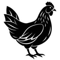 illustration de poulet sur blanc Contexte vecteur