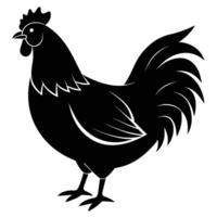 illustration de poulet sur blanc Contexte vecteur