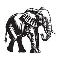 illustration de l'éléphant isolé sur blanc Contexte vecteur