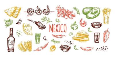 dessiné à la main coloré ensemble de réaliste mexicain vaisselle et des produits. ancien esquisser dessins de Latin américain cuisine. encre illustration. mexicain culture. vecteur