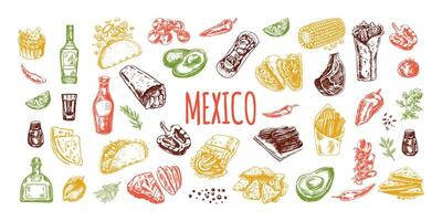 dessiné à la main coloré ensemble de réaliste mexicain vaisselle et des produits. ancien esquisser dessins de Latin américain cuisine. encre illustration. mexicain culture. vecteur