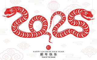 content chinois Nouveau année 2025 le serpent zodiaque signe avec fleur, lanterne, asiatique éléments rouge papier Couper style sur Couleur Contexte. vecteur