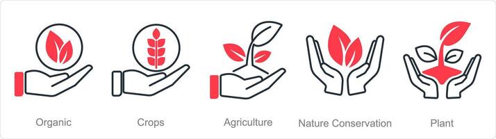 une ensemble de 5 biologique agriculture Icônes comme BIO, cultures, agriculture vecteur