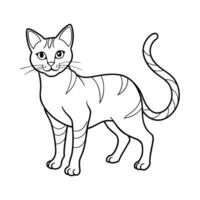 chat illustration noir et blanc chat contour vecteur