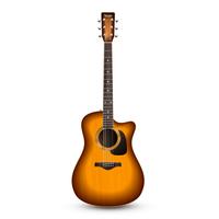 Guitare réaliste isolée vecteur