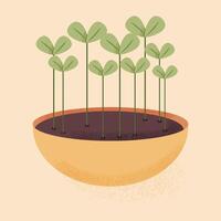 microgreens dans une pot. plat illustration. choux de en bonne santé et biologique aliments. vecteur
