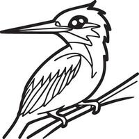 martin-pêcheur coloration page. une noir et blanc dessin de martin-pêcheur vecteur
