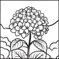 hortensia coloration pages. hortensia fleur contour pour coloration livre vecteur