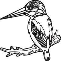 martin-pêcheur coloration page. une noir et blanc dessin de martin-pêcheur vecteur