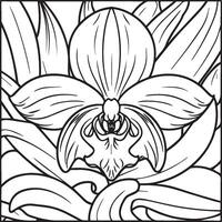 orchidée fleur coloration pages. orchidée fleur contour pour coloration livre vecteur