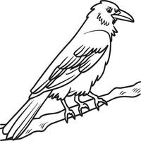 corbeau coloration pages. corbeau oiseau contour pour coloration livre vecteur