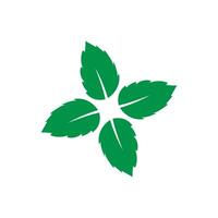 menthe feuille logo modèle symbole conception vecteur