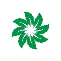 menthe feuille logo modèle symbole conception vecteur