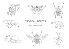 ensemble de vecteurs d'insectes tropicaux. contour dessiné à la main de la mite de l'atlas, du charançon, du papillon, du goliath, du scarabée hercule, de la mouche espagnole. collection en noir et blanc d'insectes tropiques vecteur