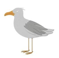 illustration vectorielle de mouette drôle. photo d'oiseau de ville de mer isolée sur fond blanc. clipart de personnage mignon plat. vecteur