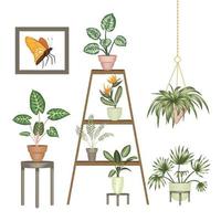 illustration vectorielle de plantes d'intérieur tropicales en pots sur un support isolé sur fond blanc. monstera réaliste brillant, alocasia, dieffenbachia, cordyline. éléments de conception pour la décoration de la maison. vecteur