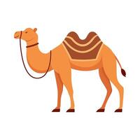 plat illustration de chameau sur isolé Contexte vecteur