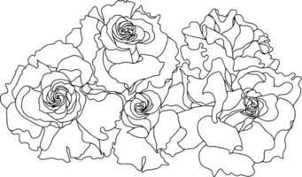 Bouquet de roses bourgeons ouverts noir blanc isolé illustration vectorielle main vecteur