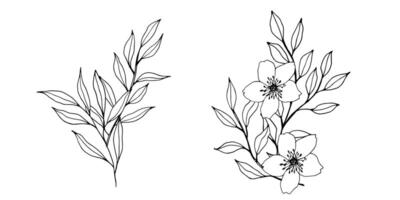 contour bifurquer, fleurs et feuilles compositions. élégant art pour décoration. main tiré monochrome botanique illustration pour arrière-plans. modèle pour mariage cartes et polygraphe, logo, tatouage vecteur