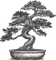 bonsaï arbre images en utilisant vieux gravure style corps noir Couleur seulement vecteur