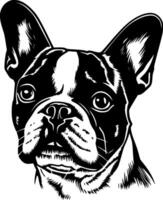 Boston terrier - minimaliste et plat logo - illustration vecteur