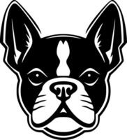 Boston terrier - noir et blanc isolé icône - illustration vecteur