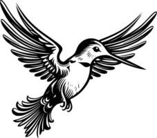 colibri, noir et blanc illustration vecteur