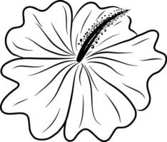 main dessin ligne de hibiscus fleur conception graphique illustration vecteur