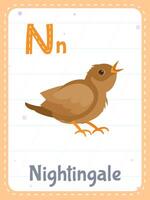 alphabet imprimable carte flash avec lettre n.m. dessin animé mignonne Rossignol oiseau image et Anglais mot sur éclat carte pour les enfants éducation. école Mémoire cartes pour Jardin d'enfants des gamins plat illustration. vecteur