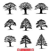 arboricole élégance étourdissant arbre silhouettes paquet pour Créatif efforts vecteur