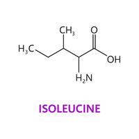 isoleucine aminé acide chimique molécules, formule vecteur