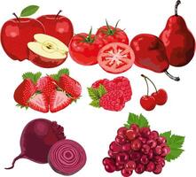 rouge des fruits et des légumes ensemble 2 vecteur