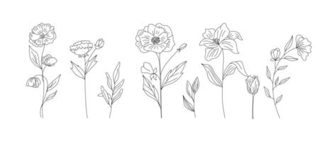 main tiré sauvage champ flore, fleurs, feuilles, herbes, végétaux, branches. minimal floral botanique ligne art. illustration pour logo ou tatouage, faire-part, enregistrer le Date carte vecteur