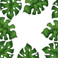 cadre avec feuilles nature icône isolé tropical vecteur