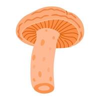 Safran Lait casquette. comestible forêt champignon plat icône. main tiré délicieux Lait casquette dessin animé style. champignon groupe gravé. rouge pin champignon isolé sur blanc Contexte. illustration vecteur