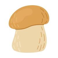 cèpes forêt champignon. main tiré bolet Edulis champignon. cèpes Frais comestible champignons dessin animé style décor élément. cèpe. Roi bolet sur blanc Contexte. penny chignon illustration vecteur