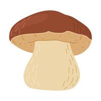 cèpes forêt champignon. main tiré bolet Edulis champignon. cèpes Frais comestible champignons dessin animé style décor élément. cèpe. Roi bolet sur blanc Contexte. penny chignon illustration vecteur