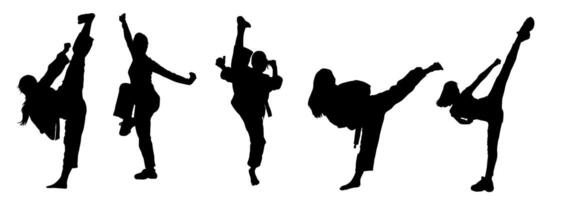 silhouette collection de martial art femmes coups de pied pose. silhouette de femelle guerriers dans action pose. vecteur