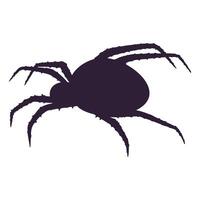 araignée noir silhouette vecteur