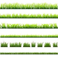 collection de différents types d'herbe verte vecteur
