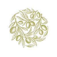 olive cercle symbole. fruit, esquisser feuilles vecteur