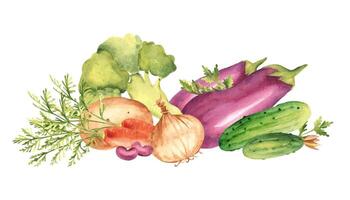 légume composition. ensemble de brocoli, aubergine, concombres et carotte. Patate et persil usine, oignon et un rein haricots. main tiré botanique aquarelle illustration. ancien montant. vecteur