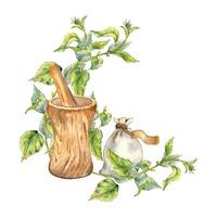 médicinal herbes et en bois mortier aquarelle illustration isolé sur blanc . ortie piqûre plante et herbe sachet avec sec feuilles. en bois ustensile main dessin. élément pour étiquette herbe les plantes vecteur