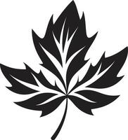 tranquille feuillage silhouette emblème botanique chuchote feuille silhouette vecteur
