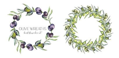 Olives aquarelle illustration. olive branches verdure main peint aquarelle isolé sur blanc Contexte. parfait pour olive mariage faire-part, floral Étiquettes, de mariée douche et salutation cartes vecteur